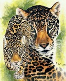 by Barbara Keith