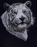 by Barbara Keith