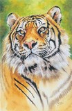 by Barbara Keith