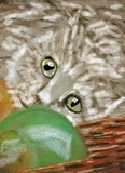by susan beswick