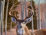 by Court McLean