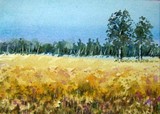 by Natalja Picugina