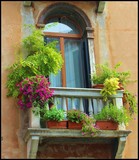 by Mira Tasich