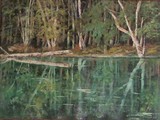 by Joan Stohlman