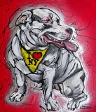 by Erlinde Ufkes Stephanus