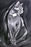 by Erlinde Ufkes Stephanus