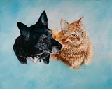 by jill madgwick