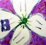 by Youth City Inc