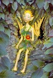 by Jane  Priser