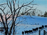 by Alison Vernon