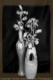 by Jackee Swinson
