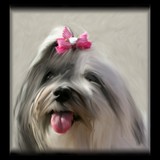 by Jackee Swinson