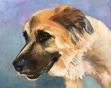 by Kathy Schoeppner