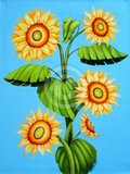 by Carol Sabo