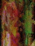 by Helmut Licht