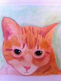 by judie cole
