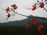 by Prashanth H J