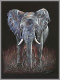 by Geraldine Simmons