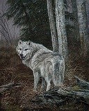 by Karla Mann