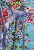 by Jones Judy