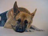 by Sue Johnston