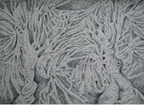 by Prakash Narashimha Murthy