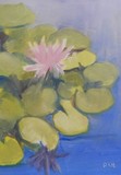 by Debi Hinshaw