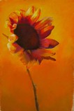 by Carolyn Hancock
