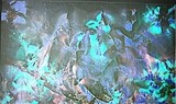 by Duygu Kivanc