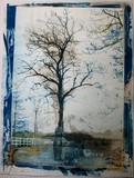 by Elise Brooks