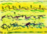 by mary ann coonrod