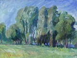 by Vasiliy  Kikinyov