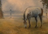 by Sharon Coyle