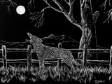 by Mike Bennett