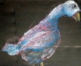 by Dana Koffenberger