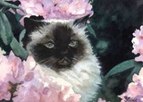 by Kajsa Flinkfeldt