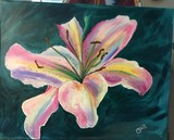 by Celestine Hill