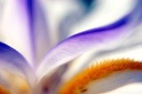 by Lisa Marie Maupassant 