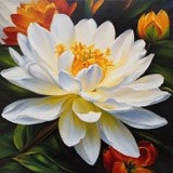 by Mihaela B