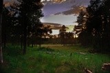 by SA KOONTZ