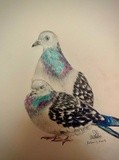 by Ariella Belau