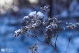 by Marton K