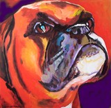 by connie van winssen