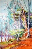 by Donna PierceClark