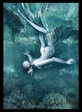 by anita zofia siuda