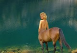 by Laurie Brookes
