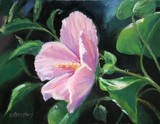 by Lynne Chrapliwy