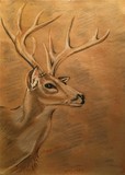 by Susan McKinney