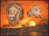 by Steve Keith