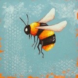 by Lucia Stewart